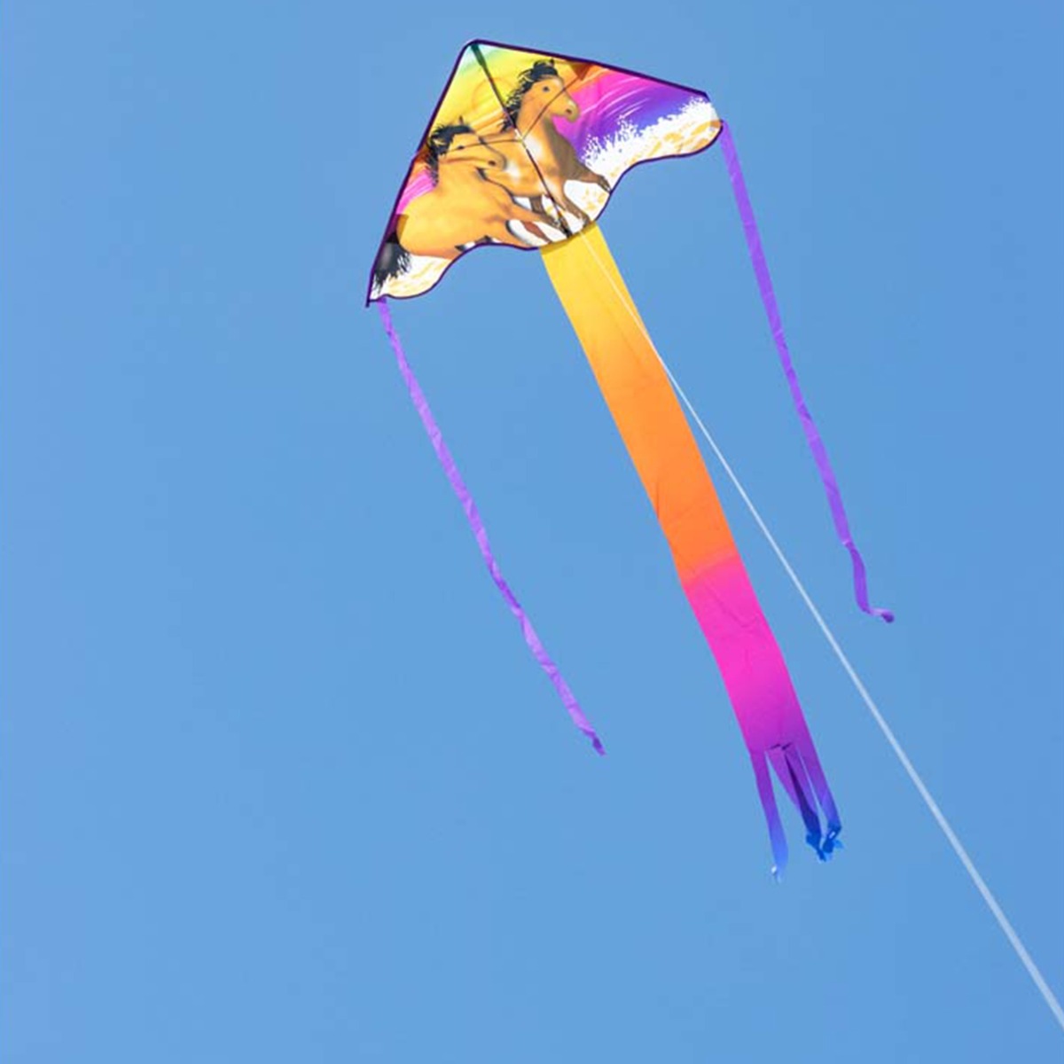 HQ Kinderdrachen Einleiner Drachen HQ Simple Flyer Wild Horses 85 cm Flugdrachen