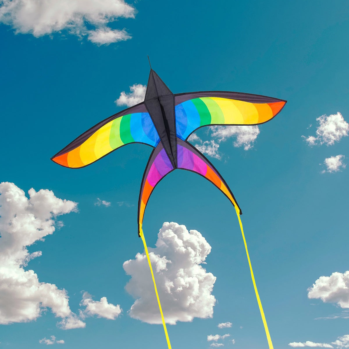 HQ Kinderdrachen Einleiner Drachen HQ Swallow Kite Rainbow Flugdrachen