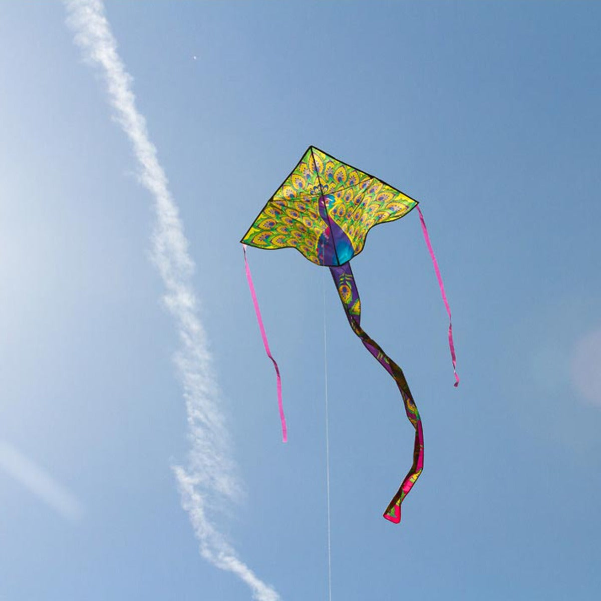 HQ Kinderdrachen Einleiner Drachen HQ Simple Flyer Peacock 120 cm Flugdrachen