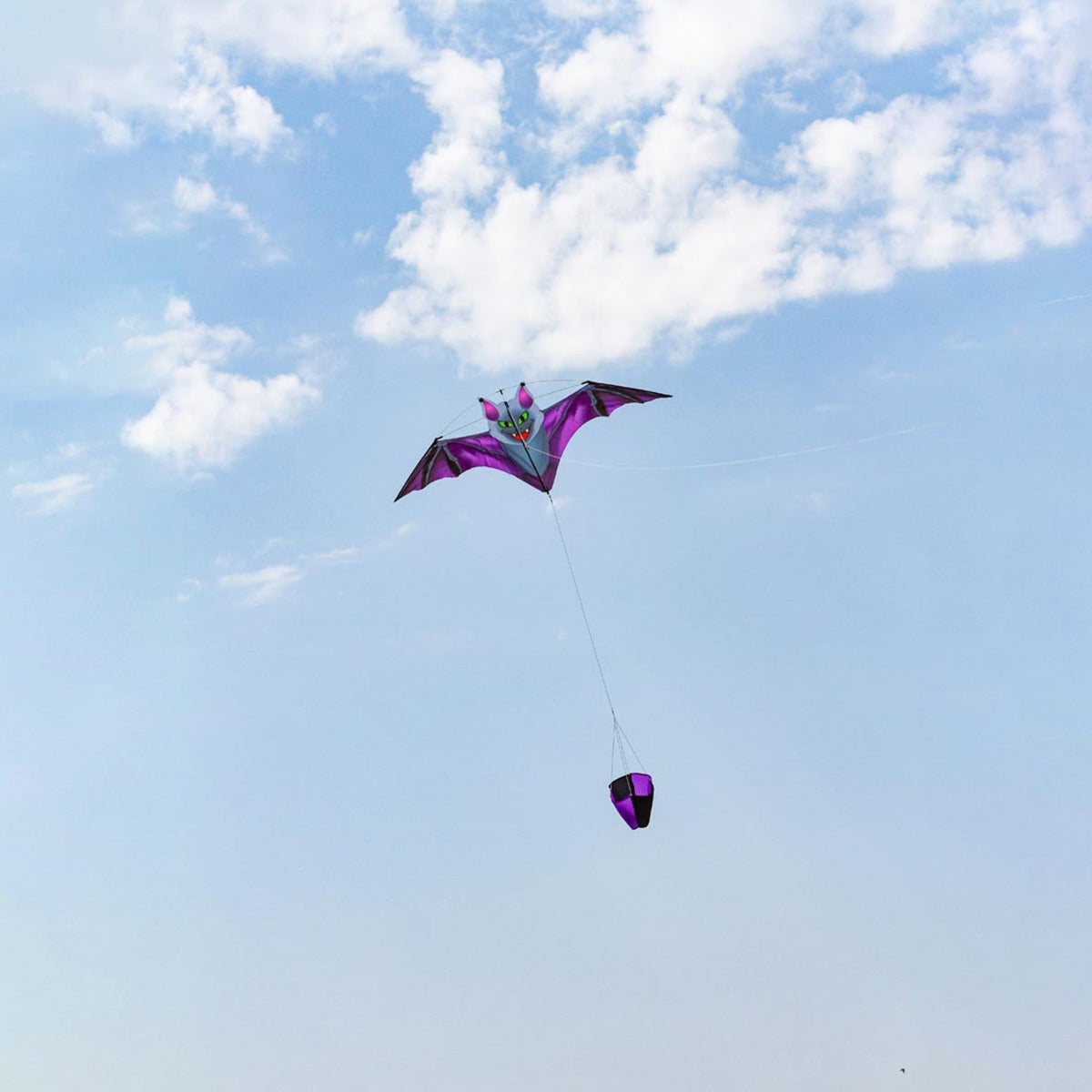 HQ Kinderdrachen Einleiner Drachen HQ Dark Fang Bat Fledermaus Flugdrachen