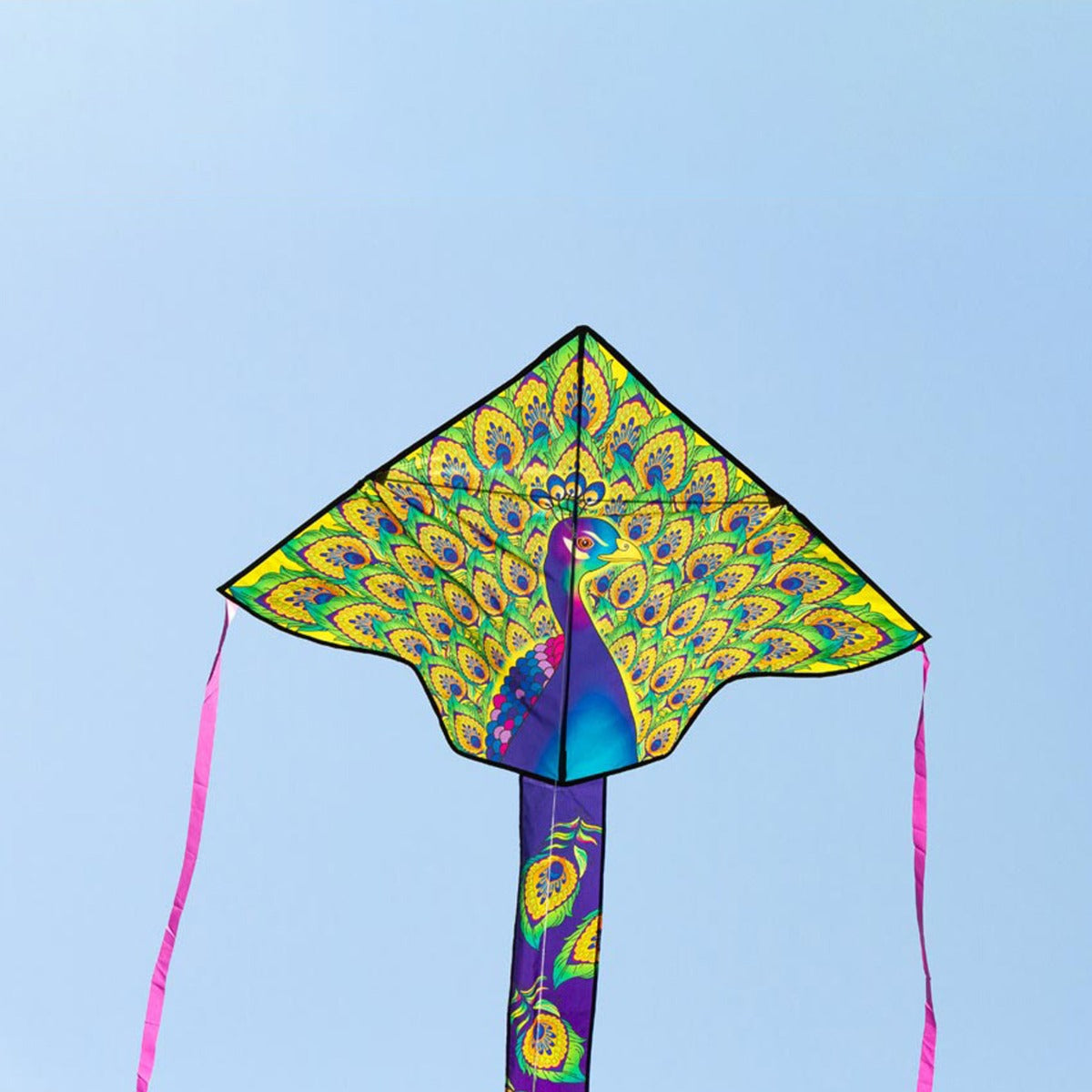 HQ Kinderdrachen Einleiner Drachen HQ Simple Flyer Peacock 120 cm Flugdrachen