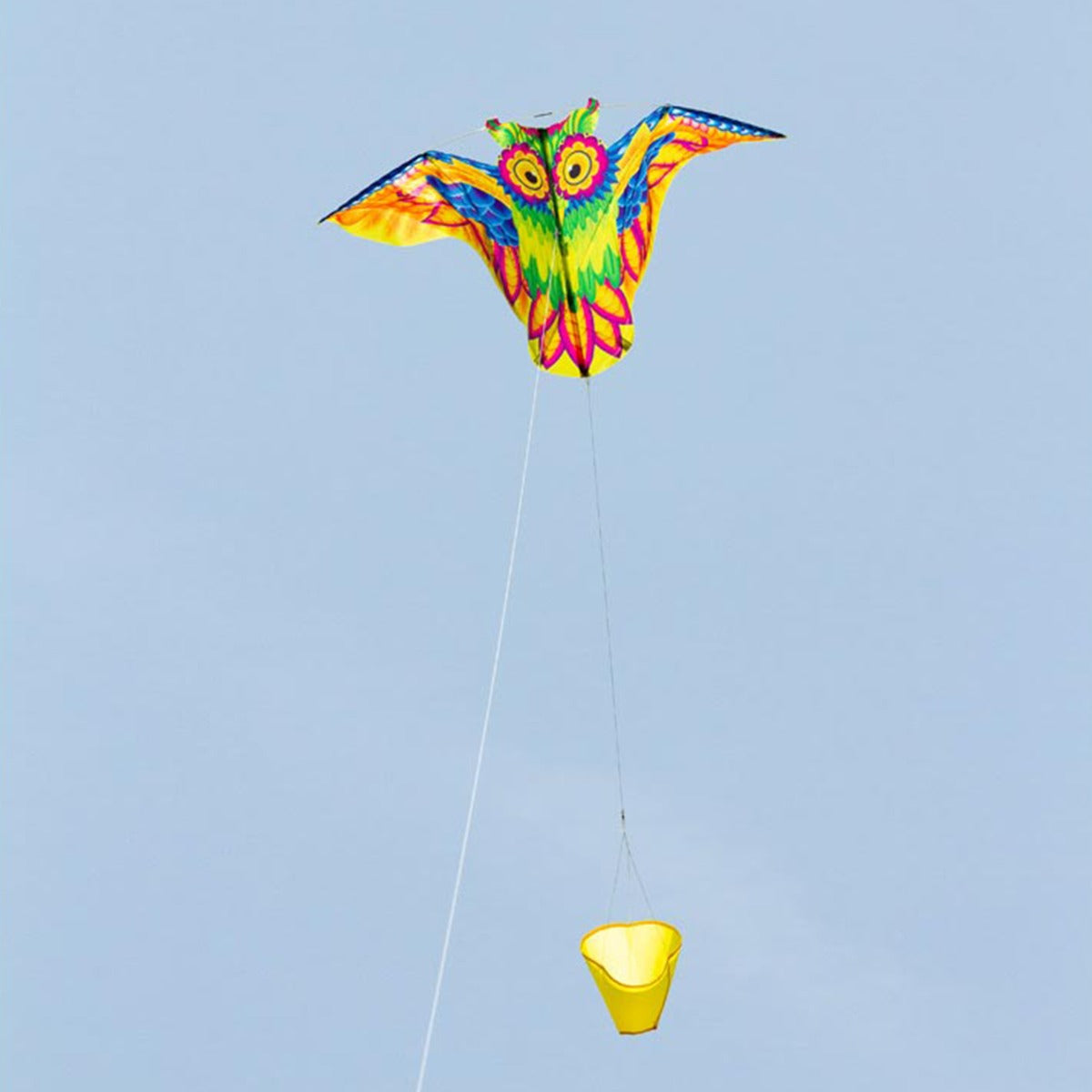 HQ Kinderdrachen Einleiner Drachen HQ Owl Kite 113 cm Flugdrachen