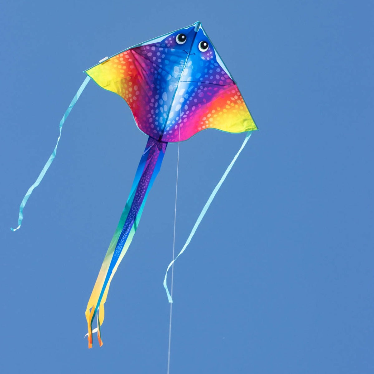 HQ Kinderdrachen Einleiner Drachen HQ Simple Flyer Manta 120 cm Flugdrachen