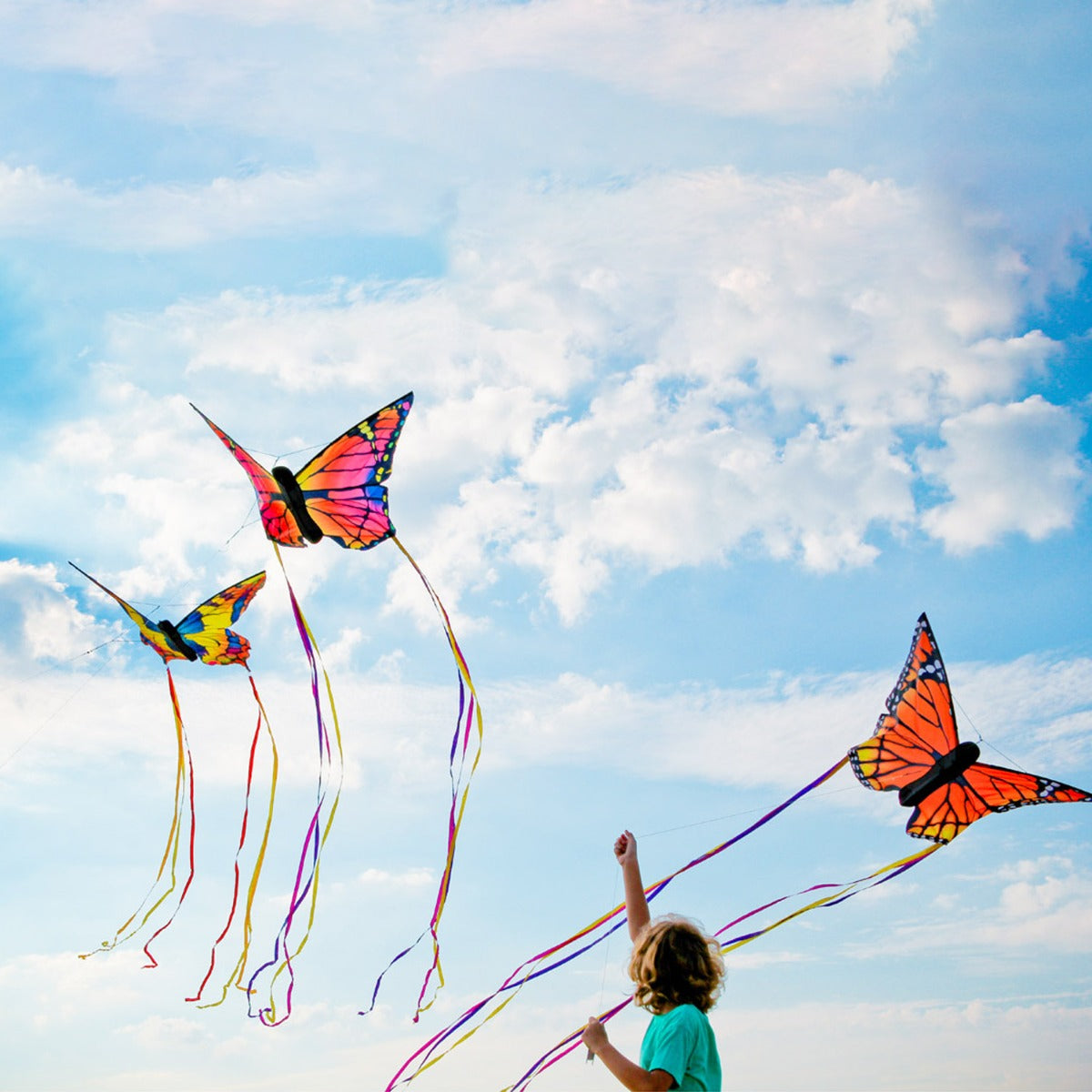 HQ Kinderdrachen Einleiner Drachen HQ Butterfly Kite Monarch L Schmetterling Flugdrache