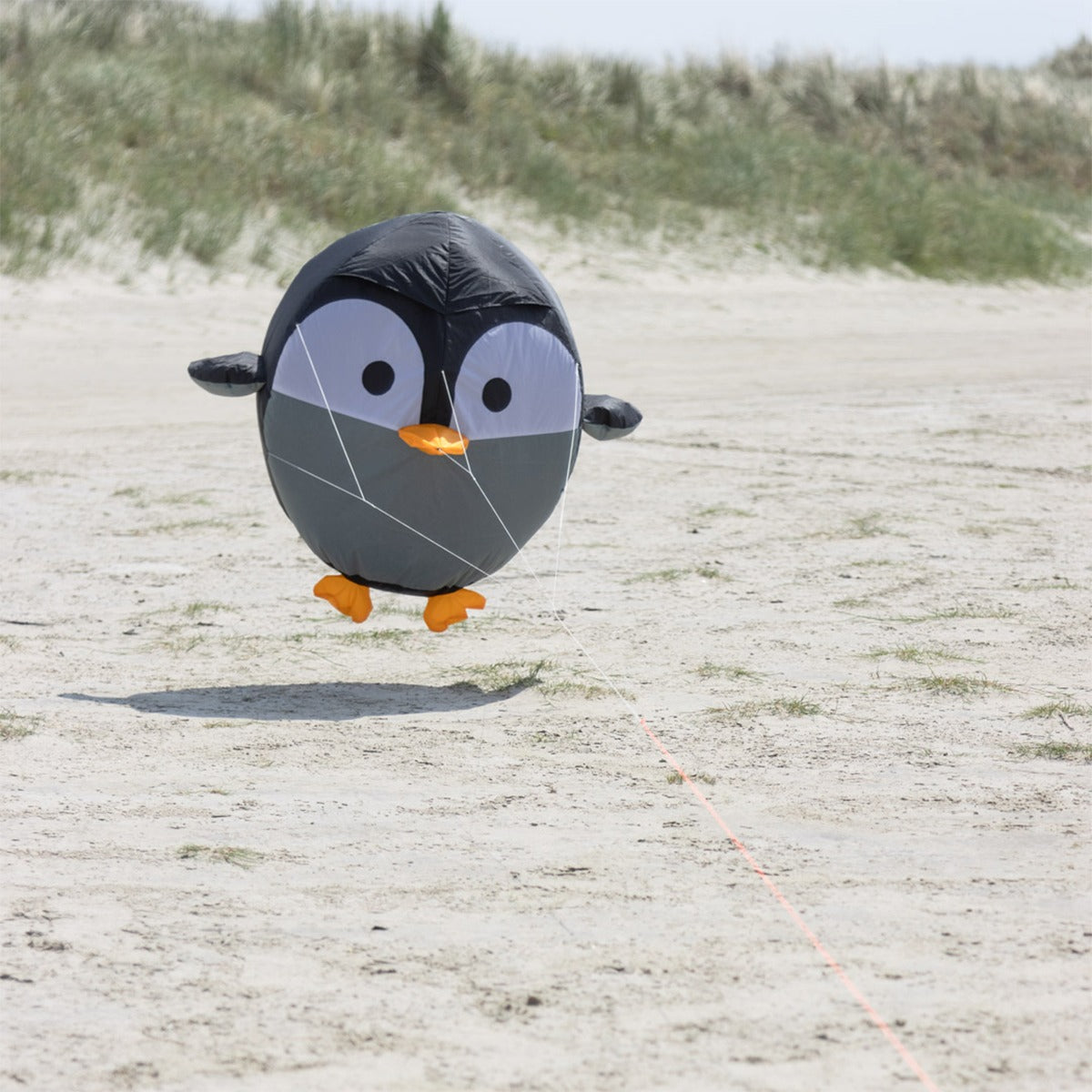 HQ Bodenwindspiel HQ Bouncing Birdeez Penguin bunte Windspiele für den Garten oder Strand