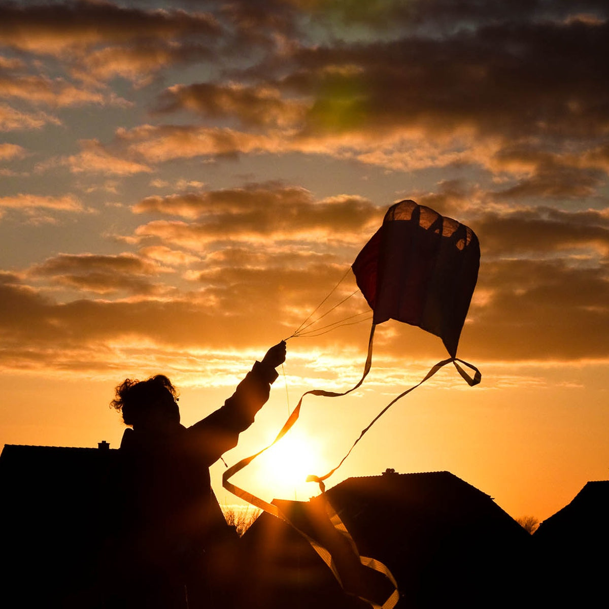 HQ Kinderdrachen Einleiner Drachen HQ Parafoil Easy Rainbow Flugdrachen