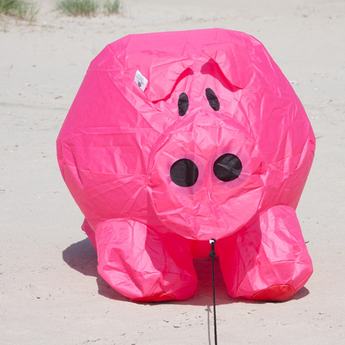 HQ Bodenwindspiel HQ Bouncing Buddy Porky bunte Windspiele für den Garten oder Strand