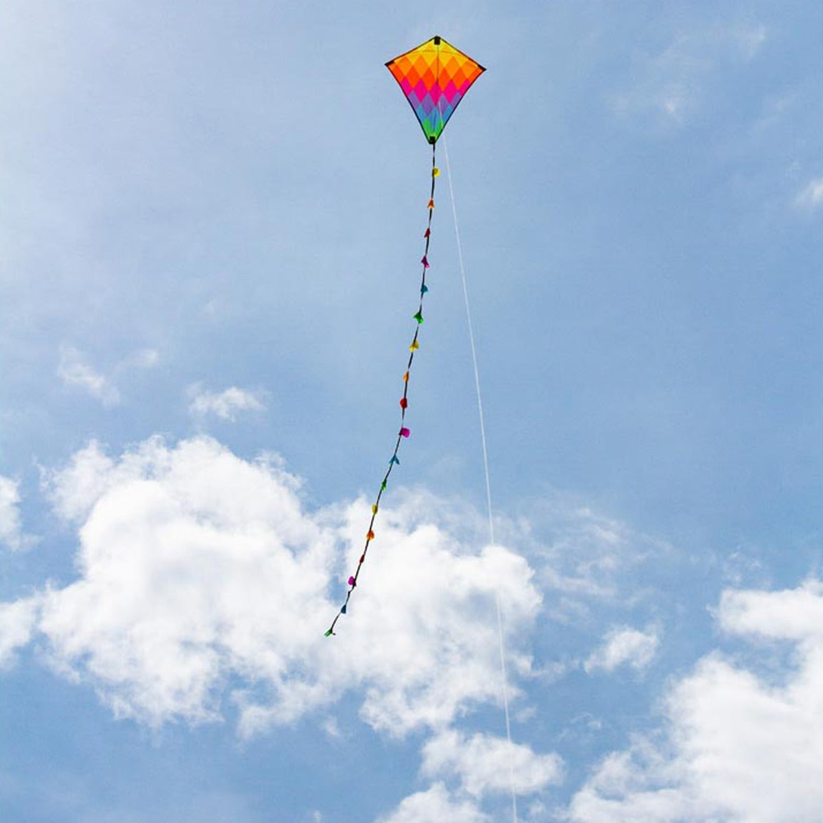 Kinderdrachen HQ Eddy Ecoline | kleiner Kinderdrache 50 cm flugfertig montiert | Drachen für Kleinkinder