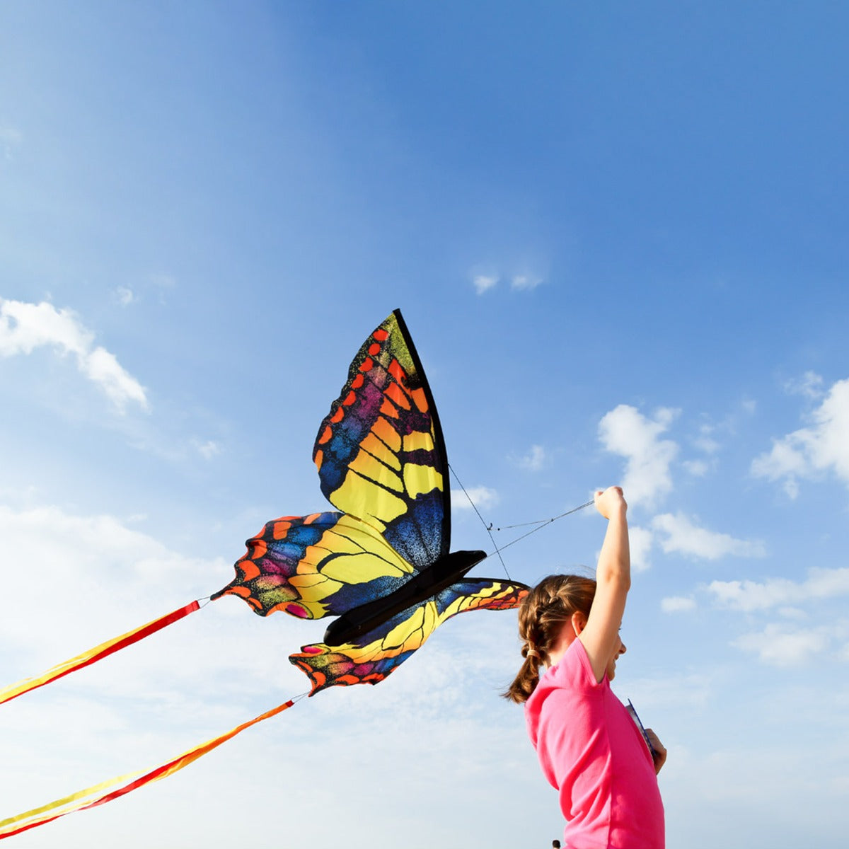 HQ Kinderdrachen Einleiner Drachen HQ Butterfly Kite Swallowtail L Schmetterling Flugdrache