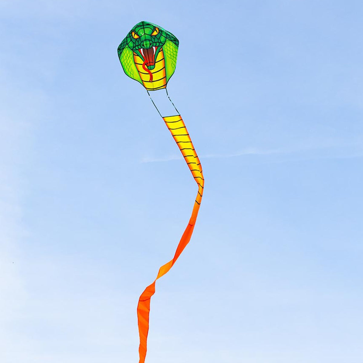 HQ Kinderdrachen Einleiner Drachen HQ Emerald Cobra Kite 1000 cm Flugdrachen