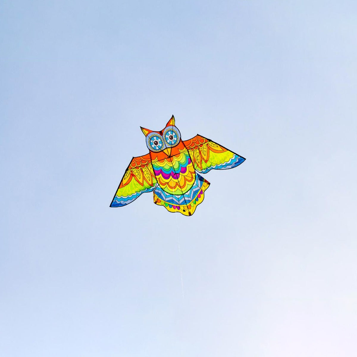HQ Kinderdrachen Einleiner Drachen HQ Jazzy Owl Eule Kite 140 cm Flugdrache