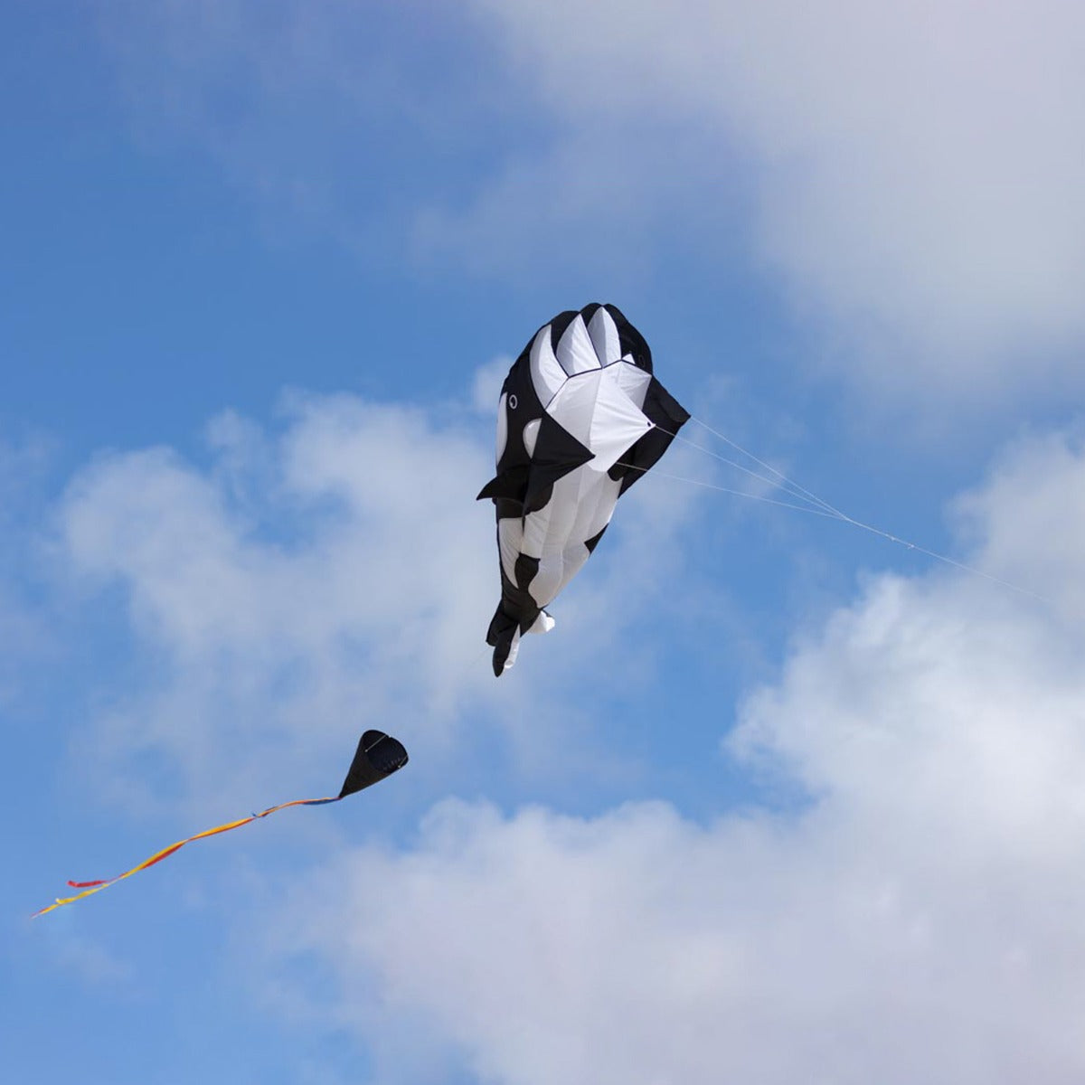 HQ Kinderdrachen Einleiner Drachen HQ Parafoil Kite Orca 200 cm Flugdrache
