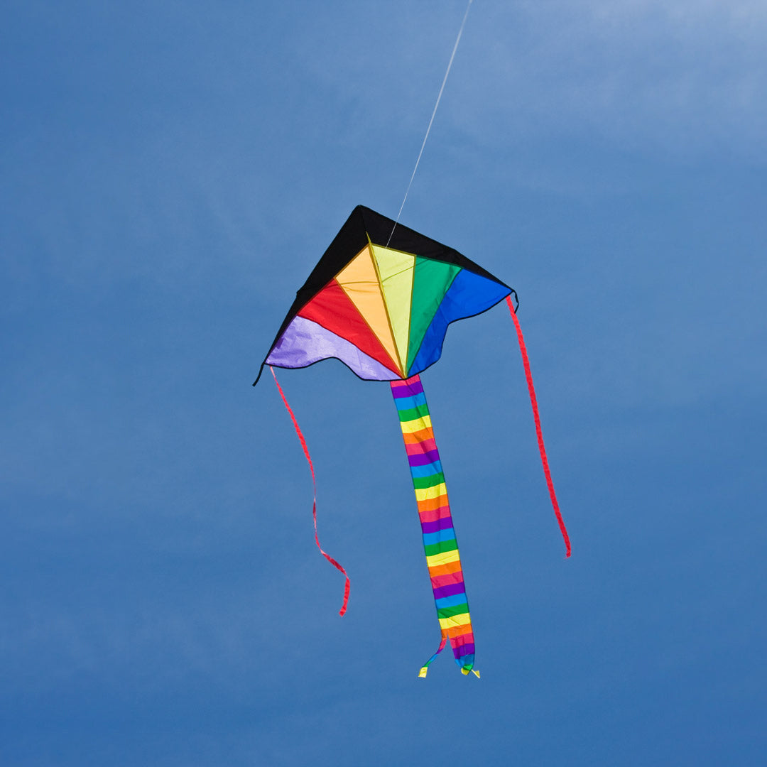 HQ Kinderdrachen Einleiner Drachen HQ Simple Flyer Rainbow 120 cm Flugdrachen