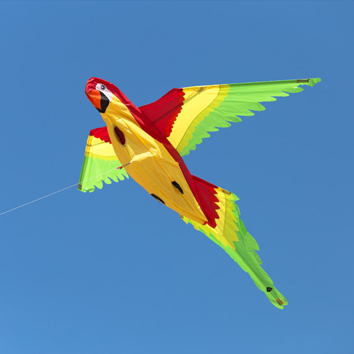 HQ Kinderdrachen Einleiner Drachen HQ Parrot 3D Papagei Flugdrachen