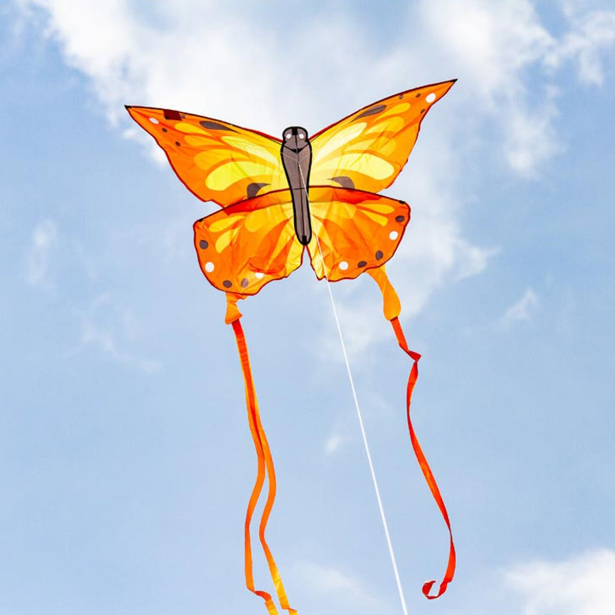 Günther Flugspiele Einleiner-Drachen 'Schmetterling' Für Kinder Ab 4 Jahren – Ca. 75 X 48 Cm, Aus Robuster PE-Folie, Inkl. Griff & Schnur